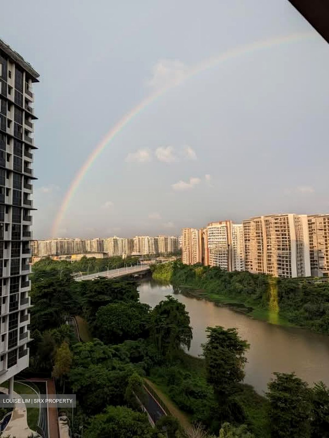 Rivertrees Residences (D28), Apartment #573669511